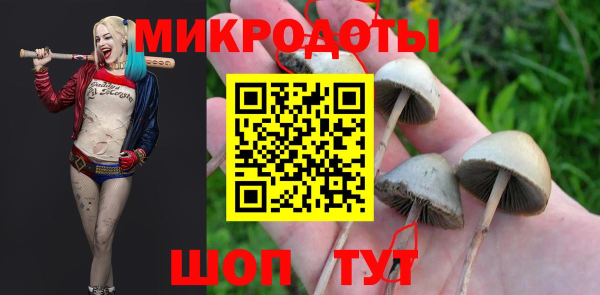 Псилоцибиновые грибы мицелий Нерюнгри